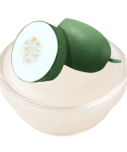 Syrup Wintermelon - 冬瓜糖浆