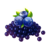 Popping Boba Blueberry - 蓝莓爆爆珠