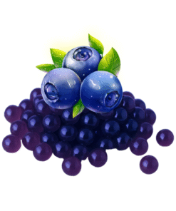 Popping Boba Blueberry - 蓝莓爆爆珠